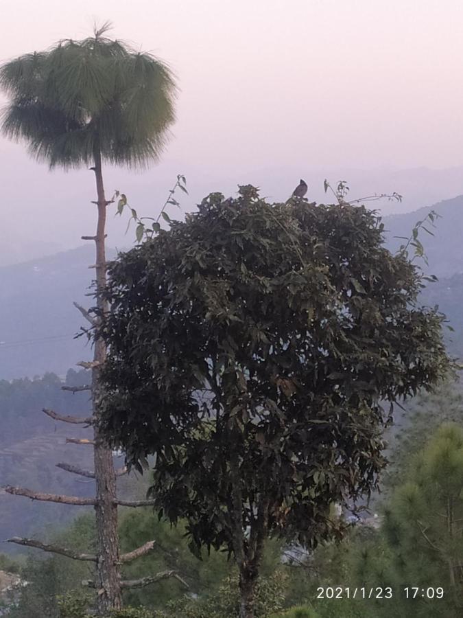 Mangalmurti Himalyan Homestay Hawalbagh Exterior photo